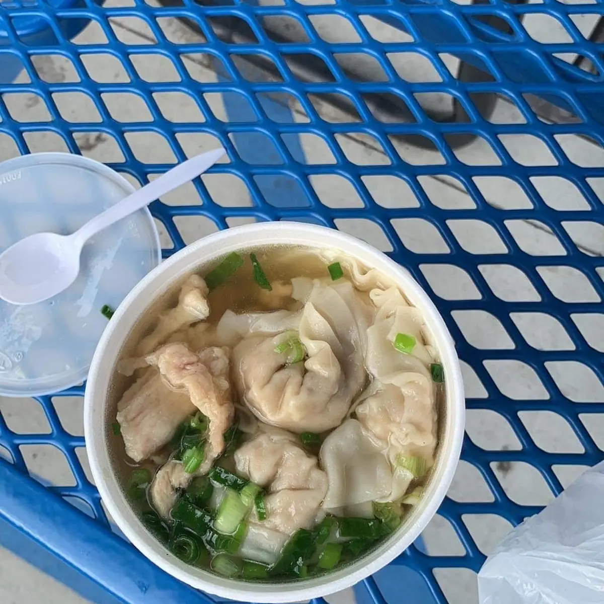 Wonton Soup