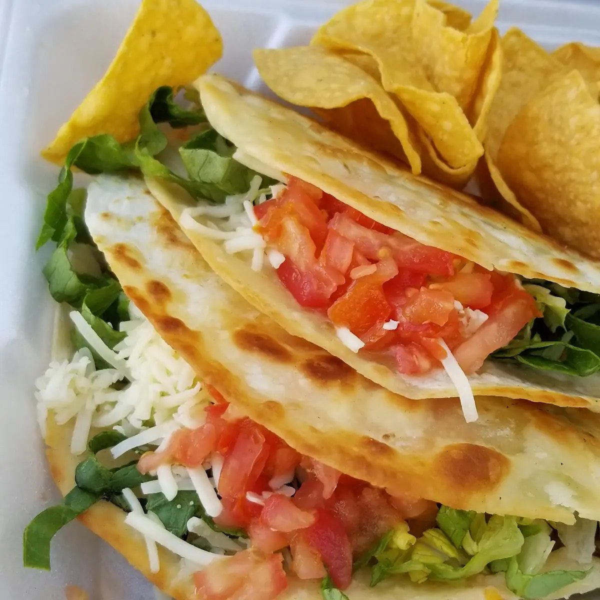 Shredded Beef Taco on Flour Tortillas