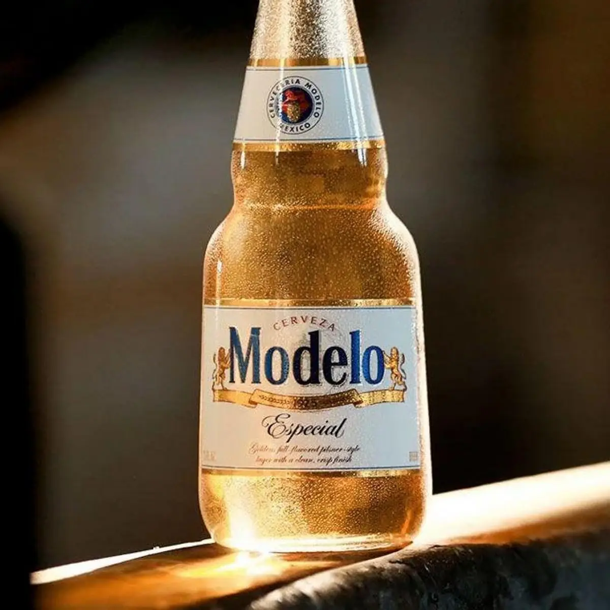 Modelo Especial