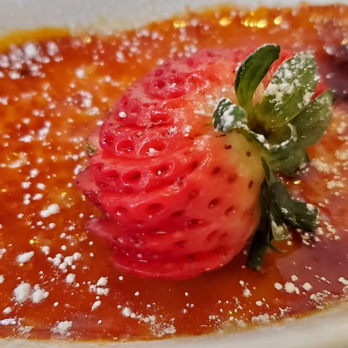Creme Brulee