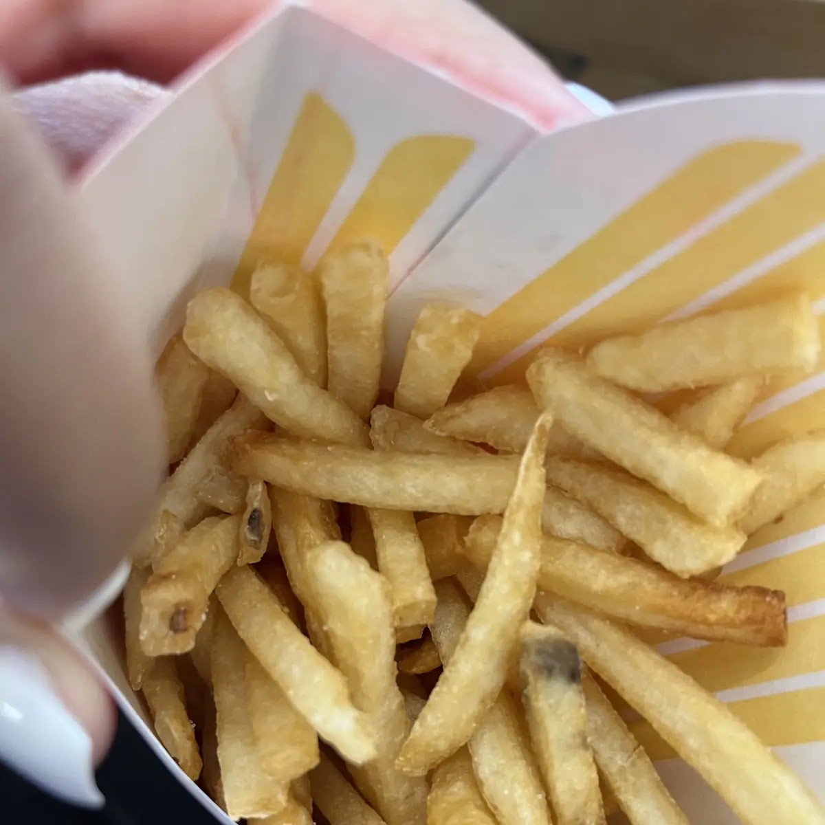 World Famous Fries