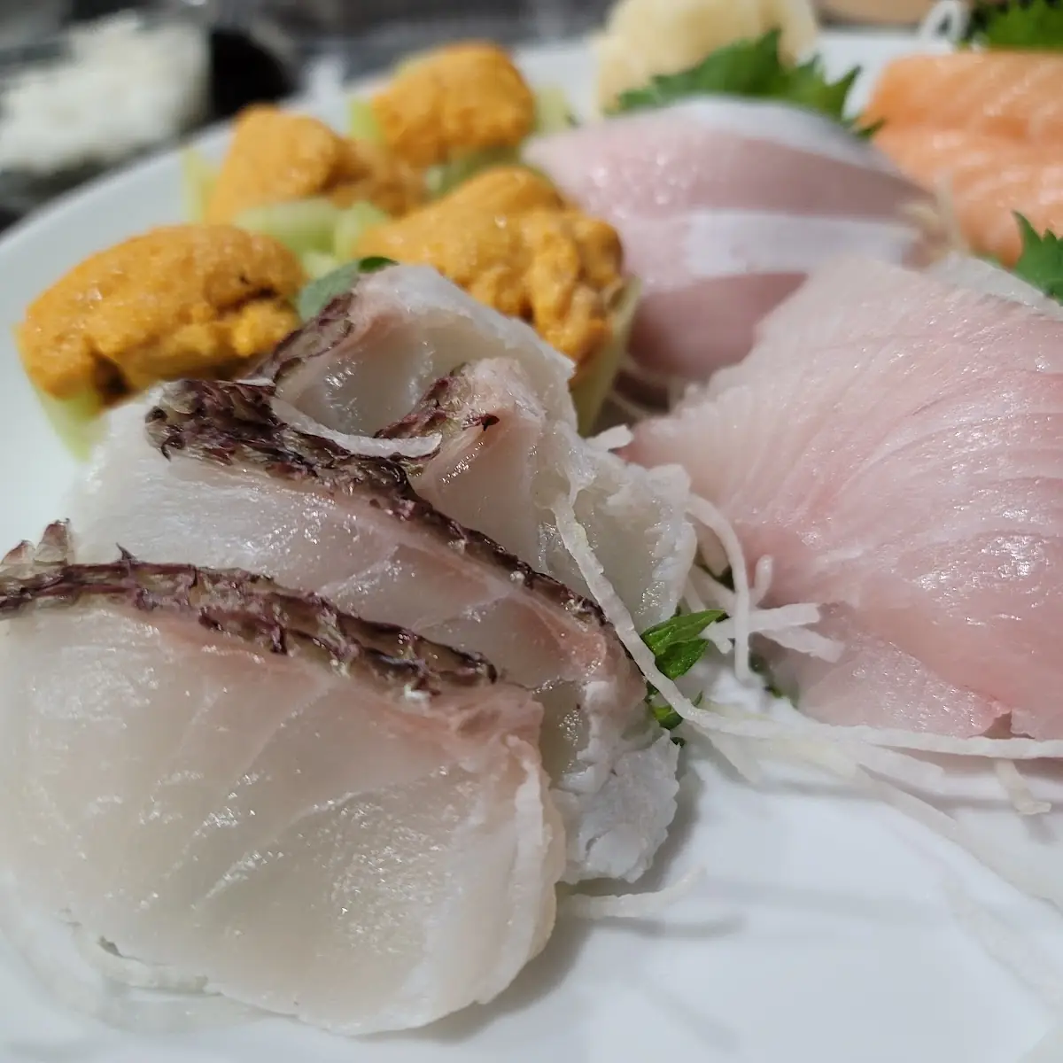 Yellowtail Hamachi