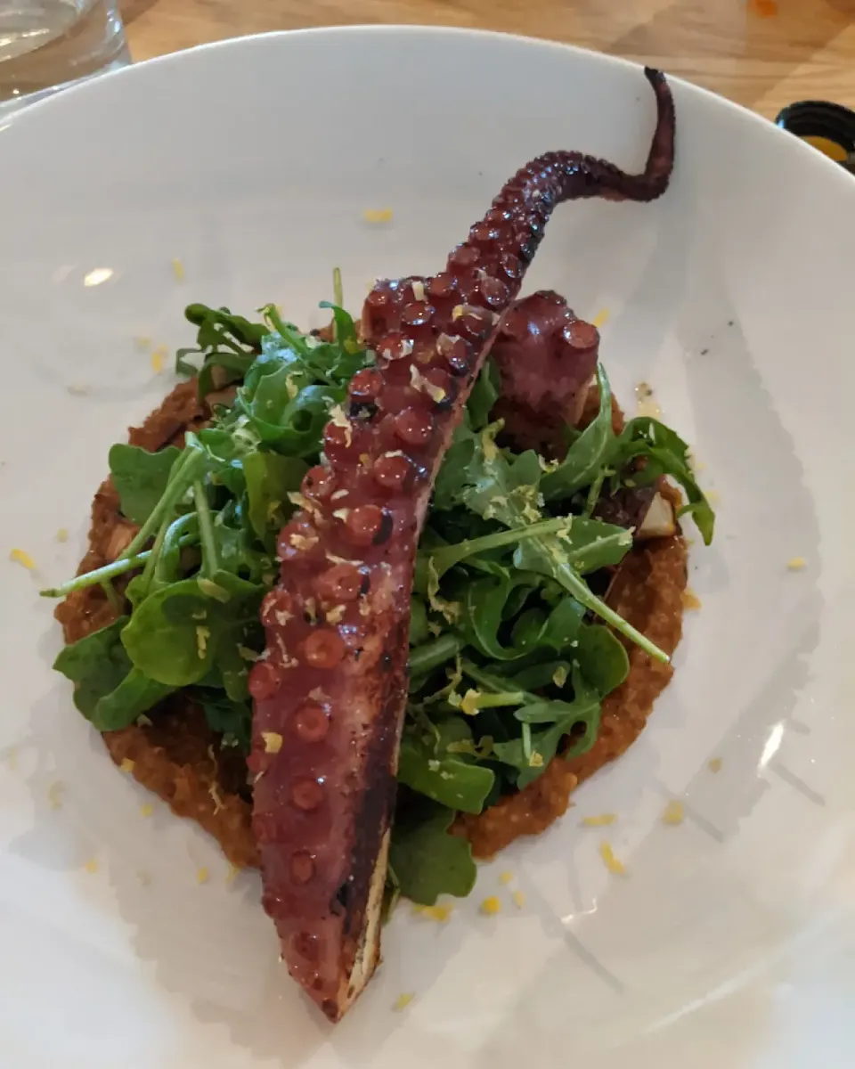 Octopus