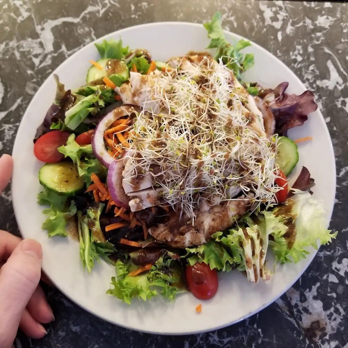 Garden Salad