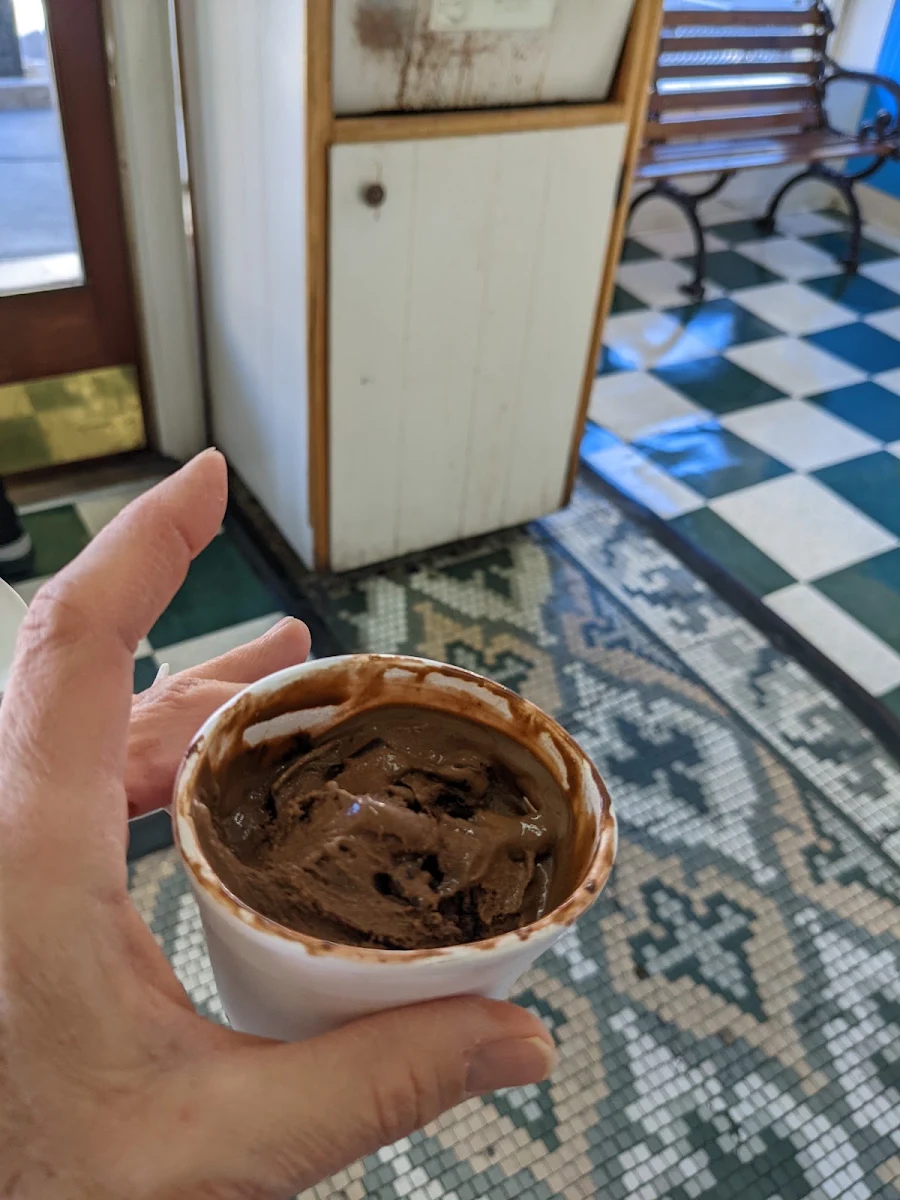Dark Chocolate Chunk Ice Cream