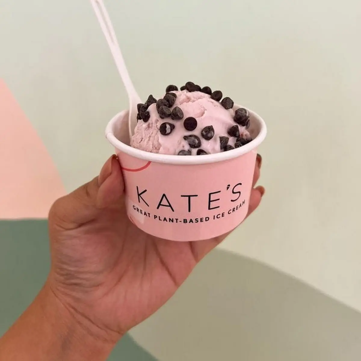Plant-Based Ice Cream