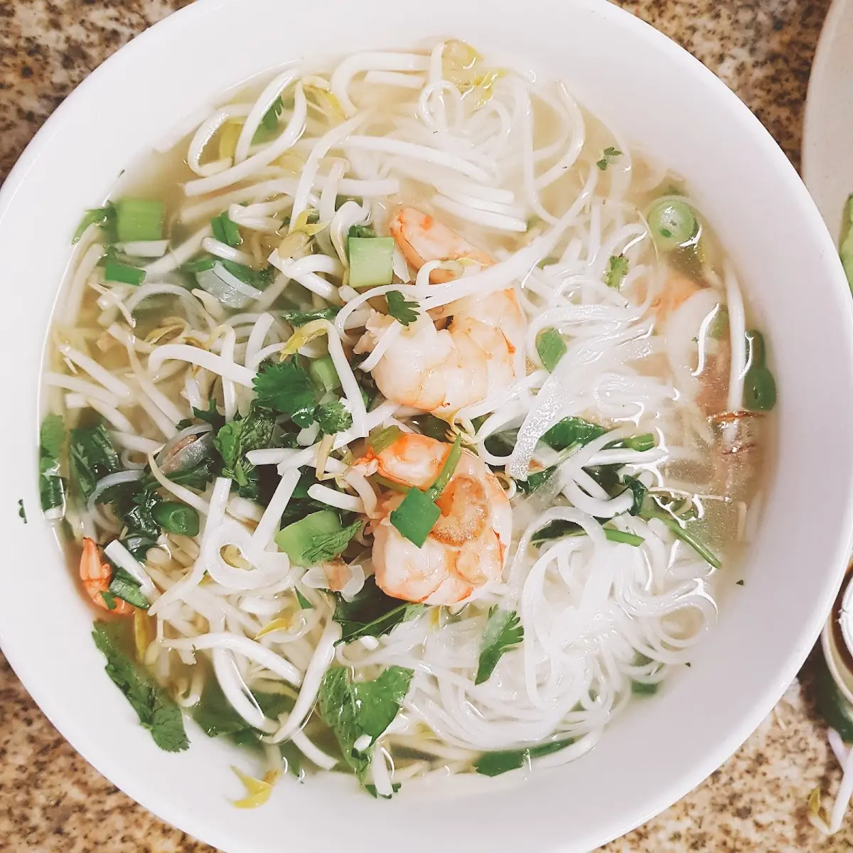 Chicken Rice Noodle Soup