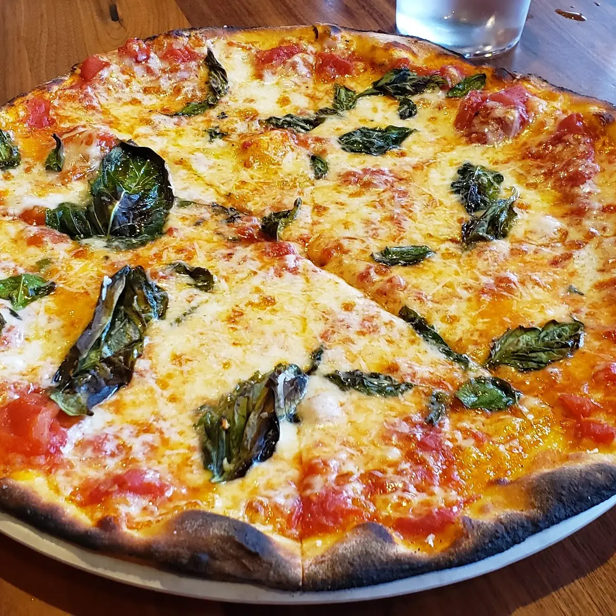 Nolo Cheese Pizza