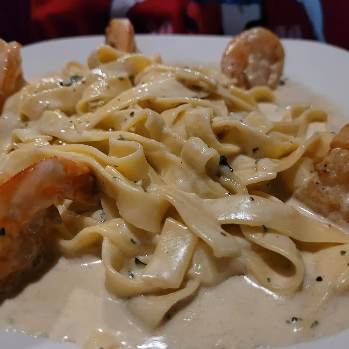 Shrimp Alfredo Pasta