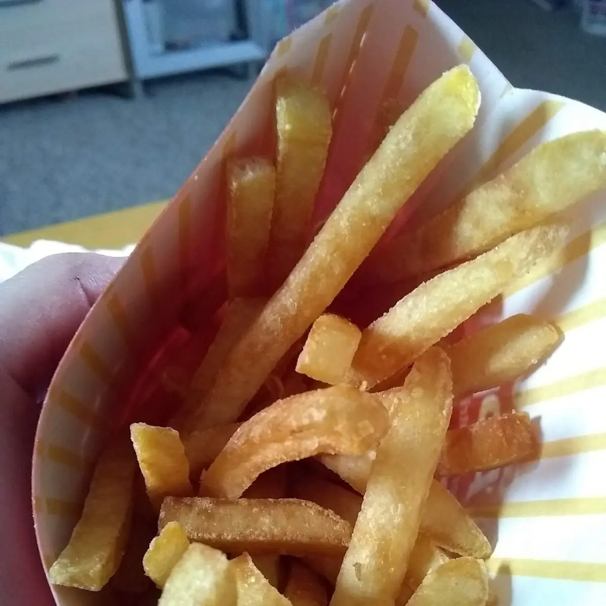 World Famous Fries