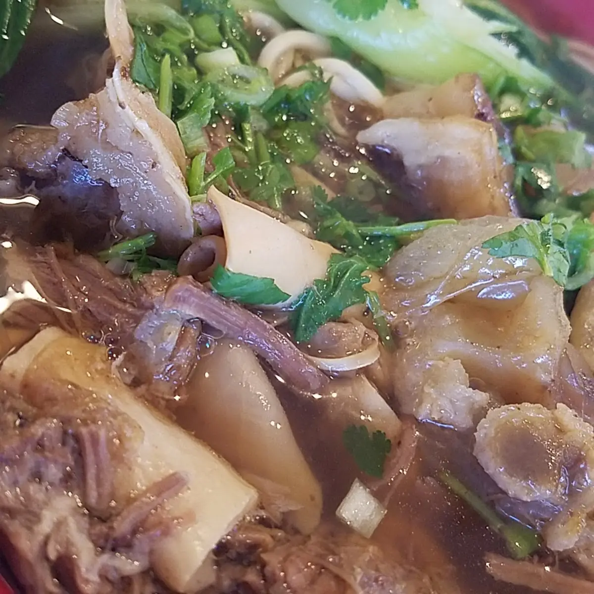 Beef and Tendon Noodle Soup