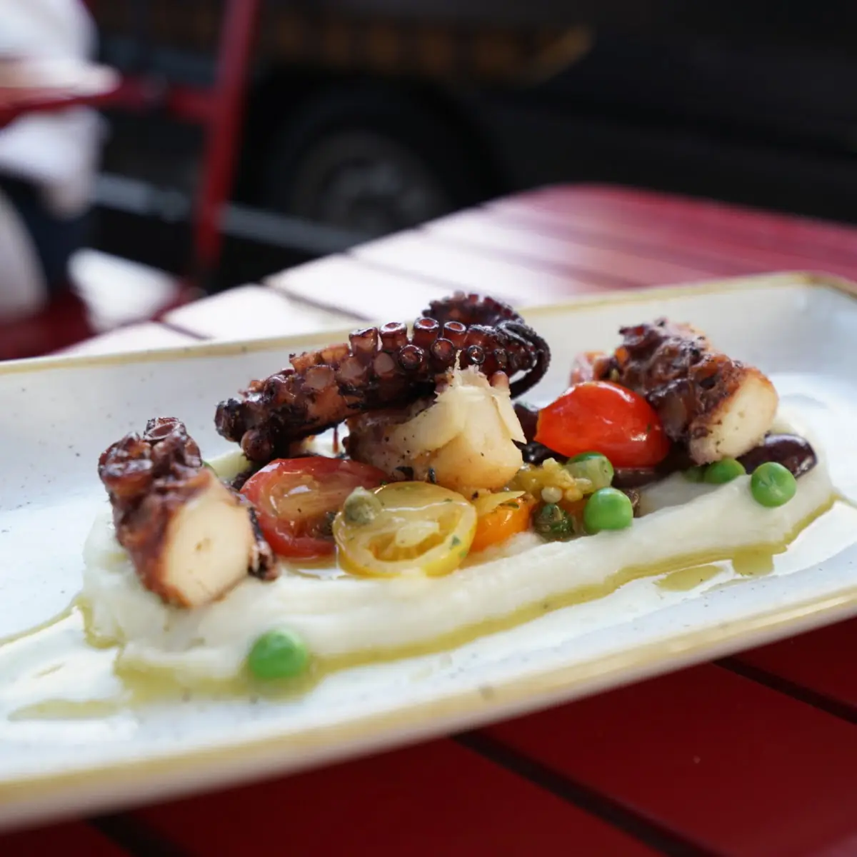 Grilled Octopus