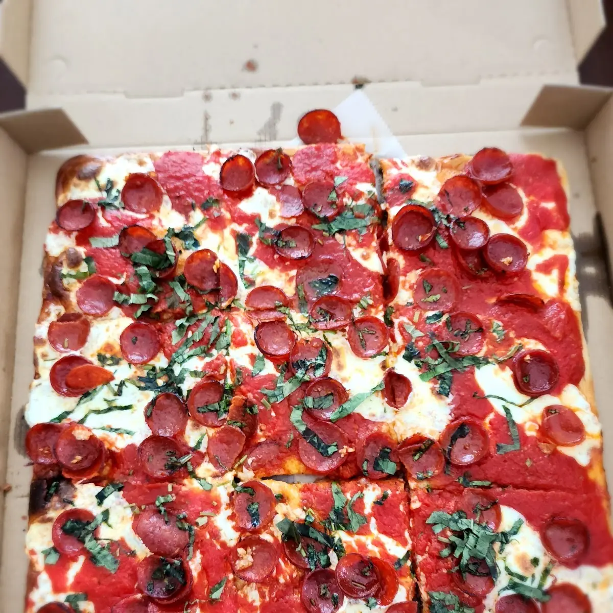 Sicilian Pizza Slice