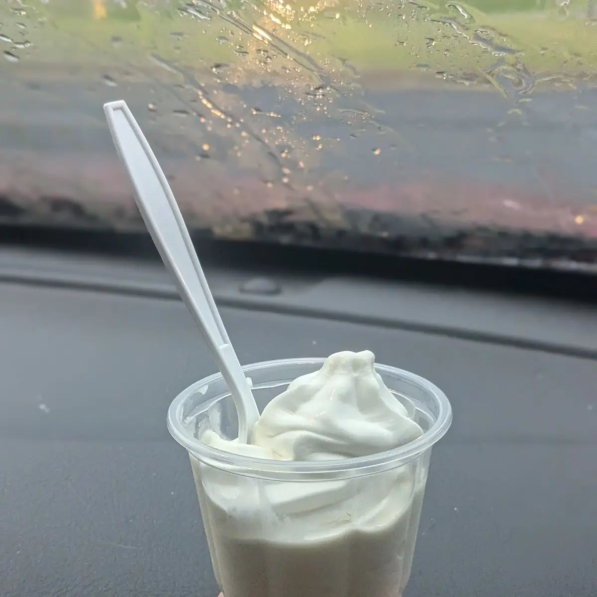 Vanilla Ice Cream