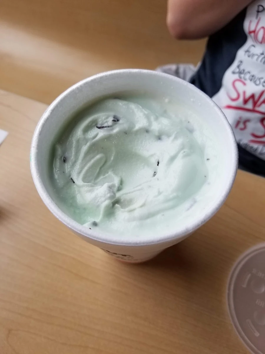 Mint Chocolate Chip Shake