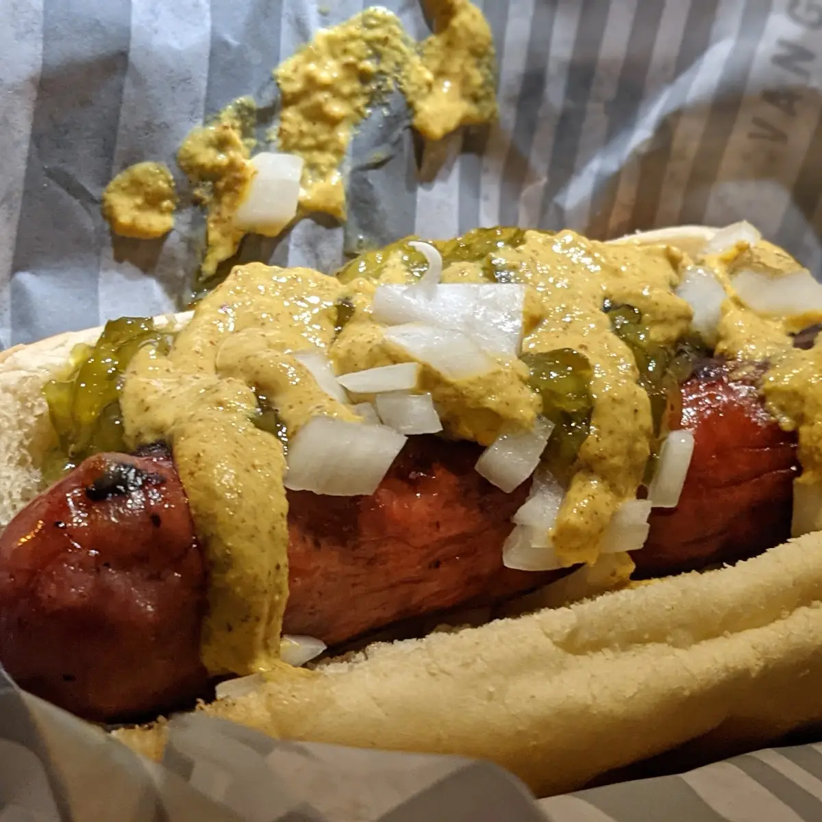 Chicago Dog
