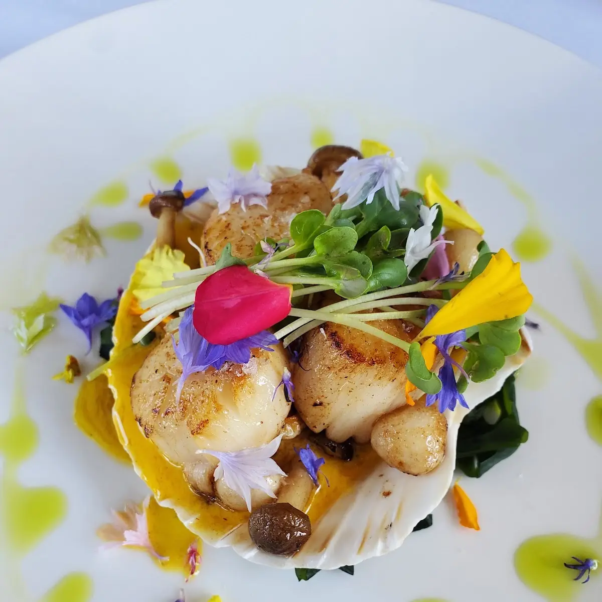 Seared Scallops