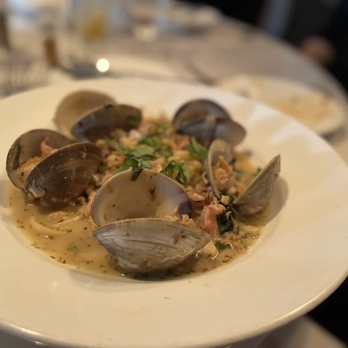 Clam Chowder