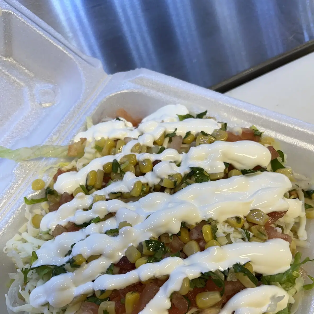 Birria Burrito