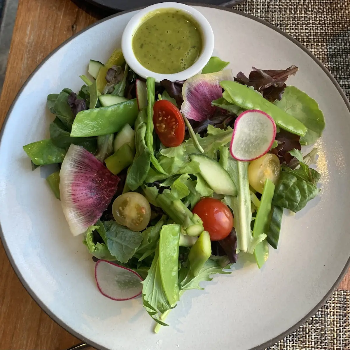 Early Harvest Salad