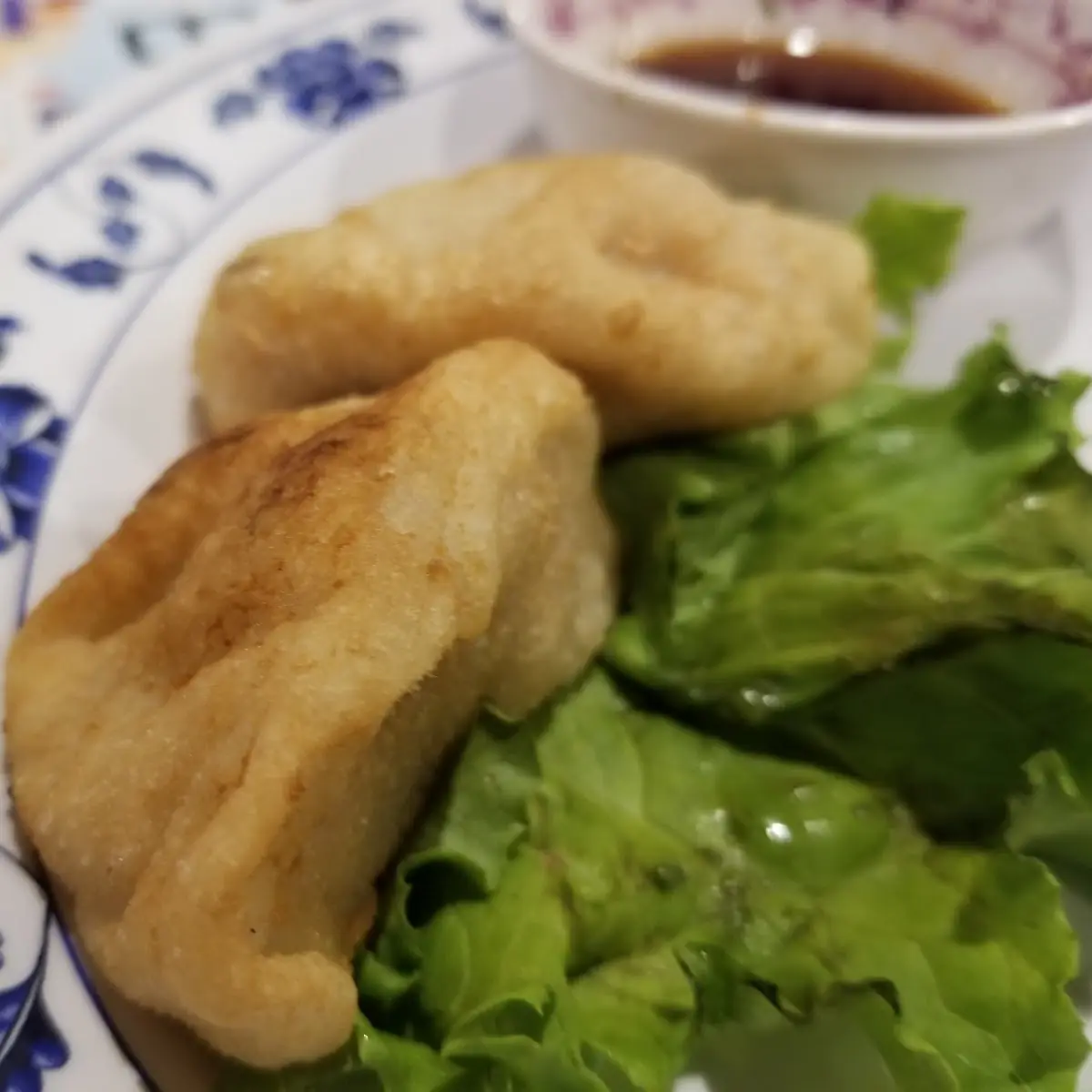 Pan Fried Veggie Dumplings