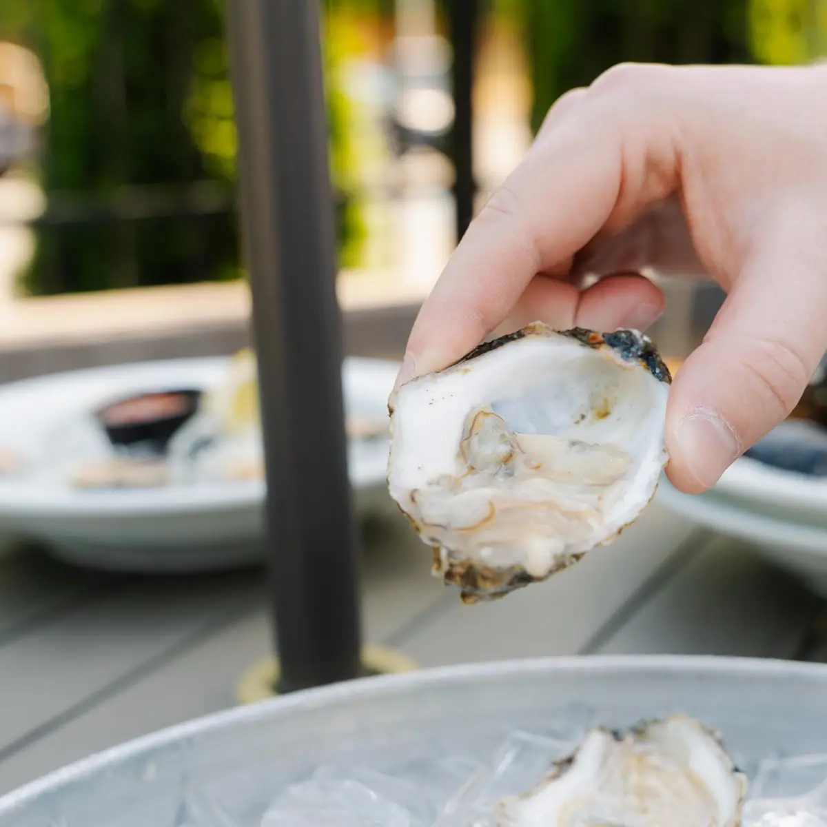 Fire Island Oysters on the 1 2 Shell