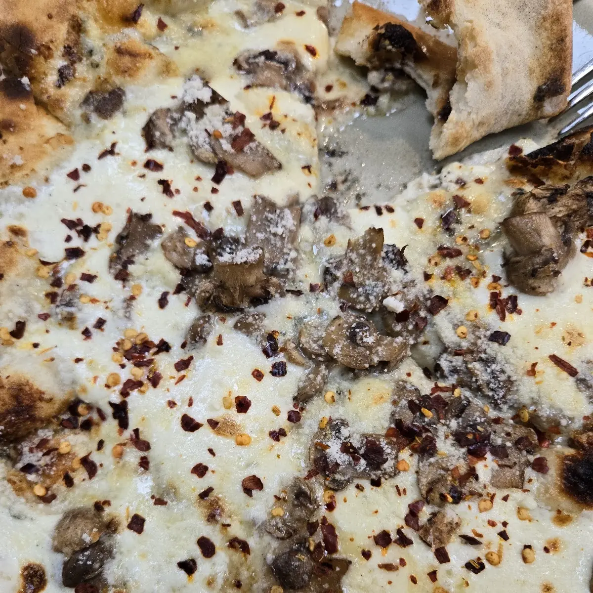Funghi Pizza