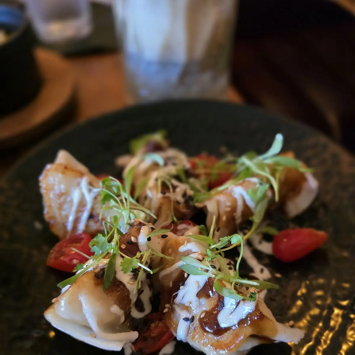 Pan-Fried Dumplings