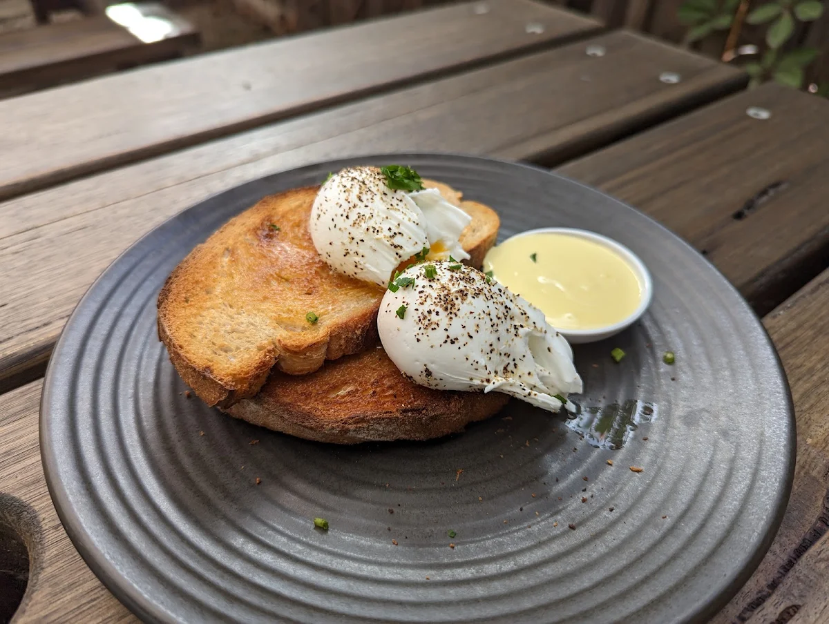 Poached Egg