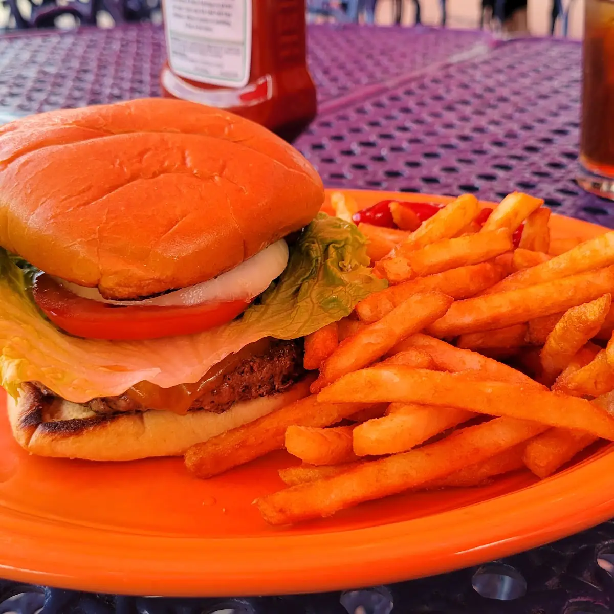 Bison Burger