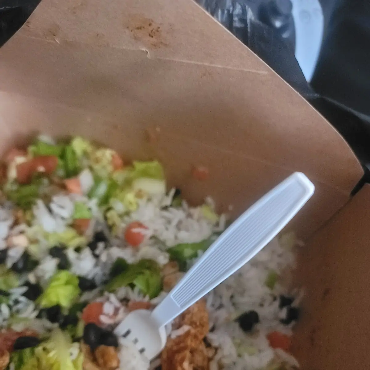 Burrito Bowl