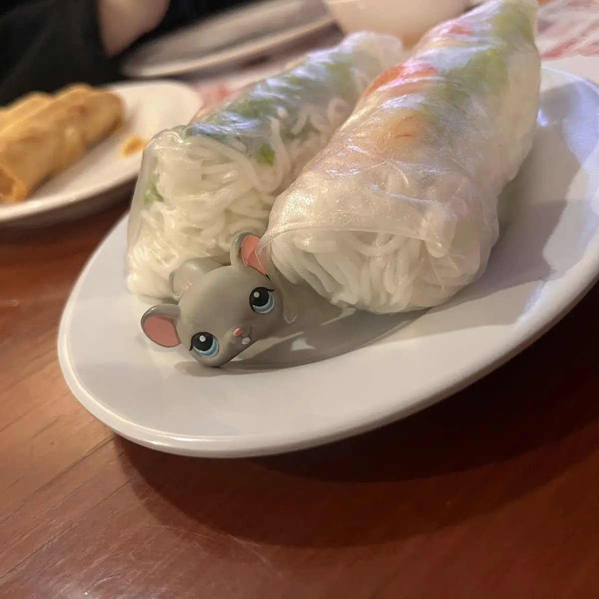 Spring Roll