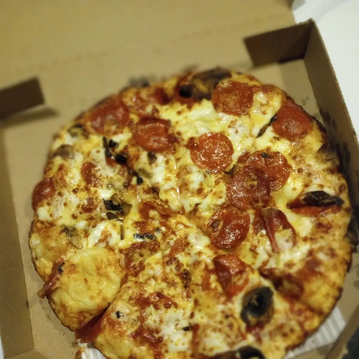 No Extra Cheese Barely Any Mushrooms