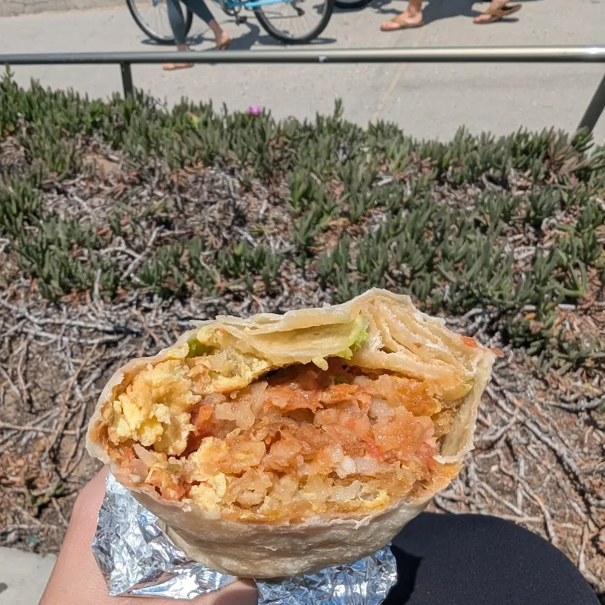 Carne Asada Burrito