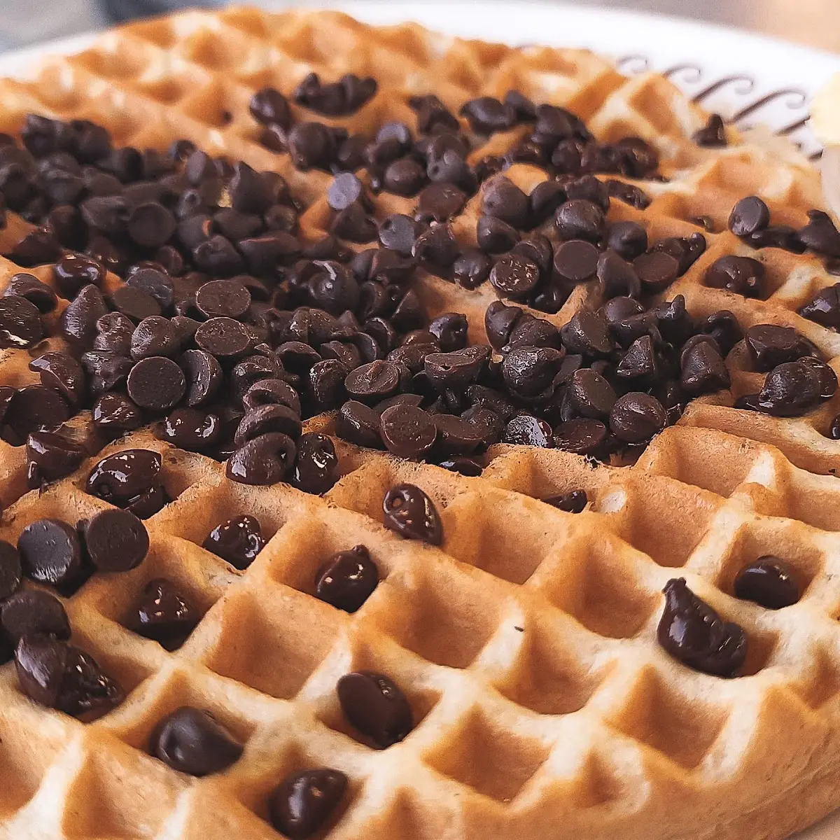 Chocolate Chip Waffle