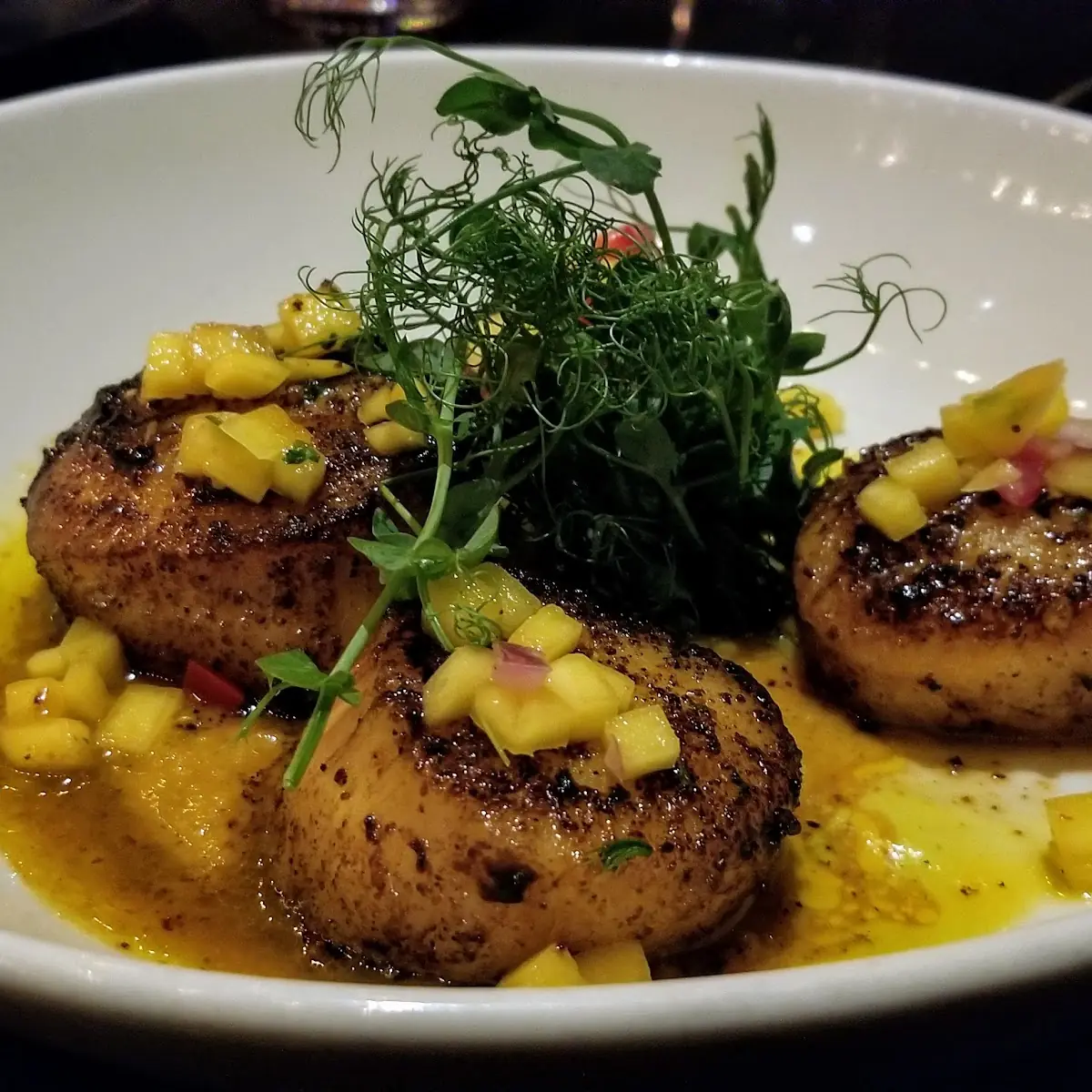 Diver Sea Scallops