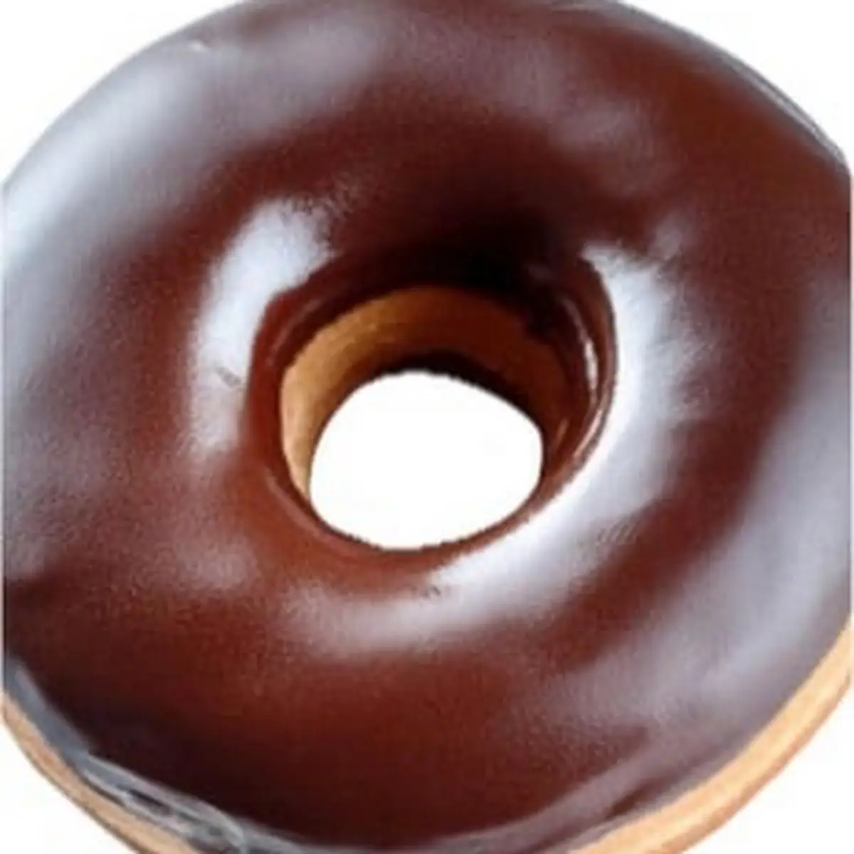 Doughnut