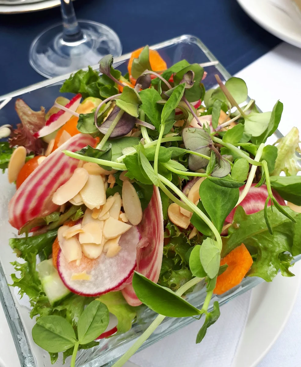 Spring Salad