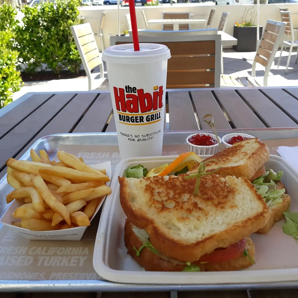 Santa Barbara Char