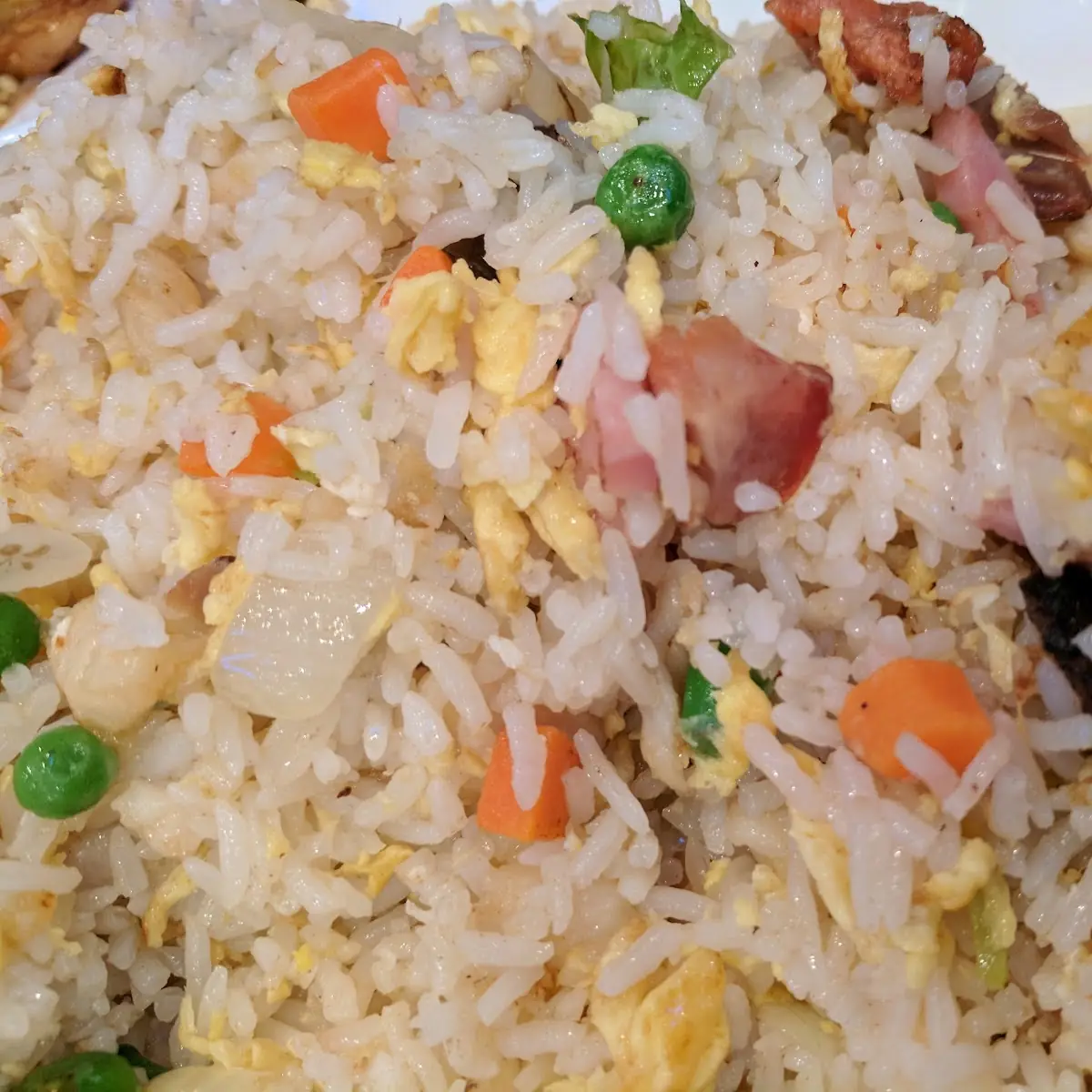 Salted Fish with Diced Chicken Fried Rice