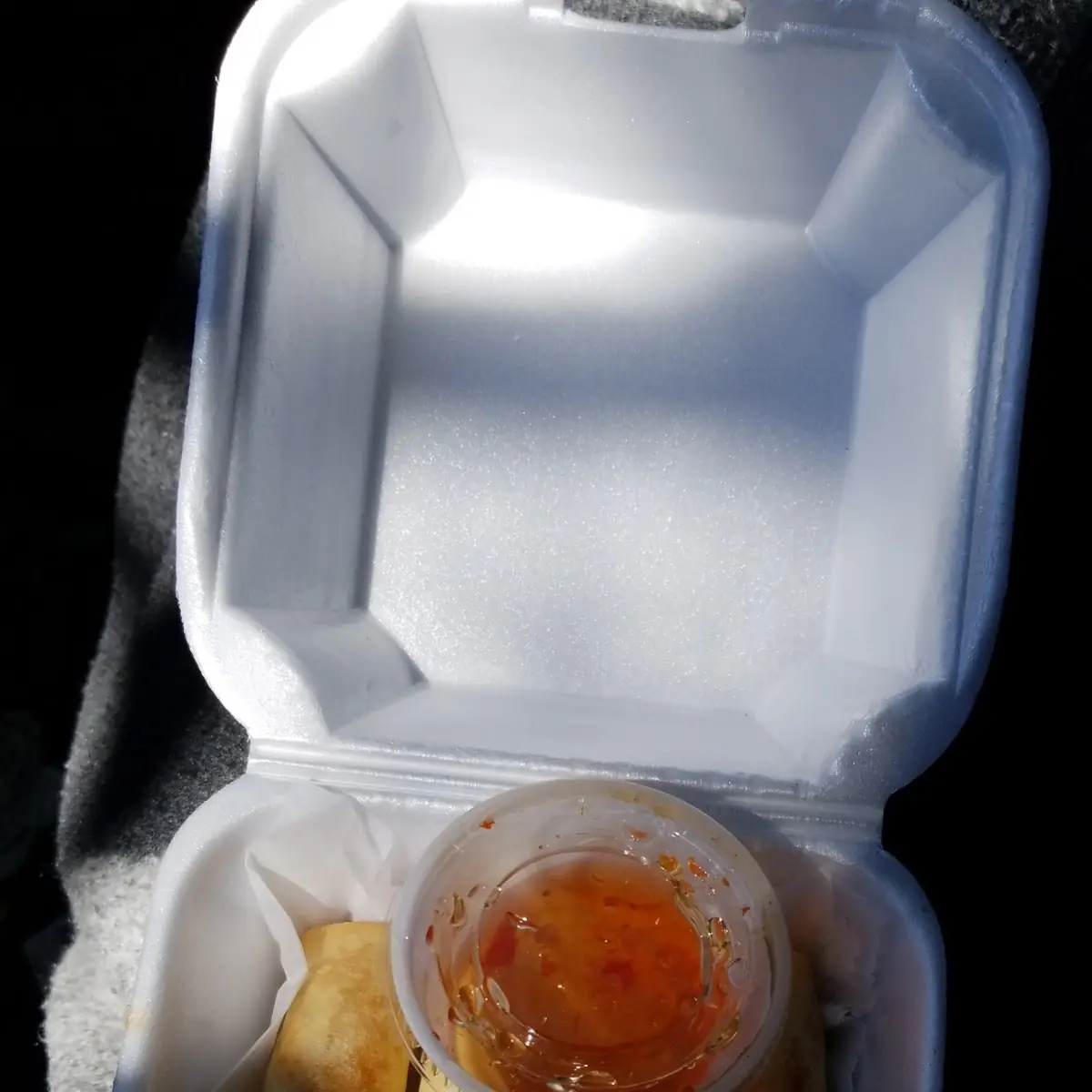 Spring Roll with Duck Sauces