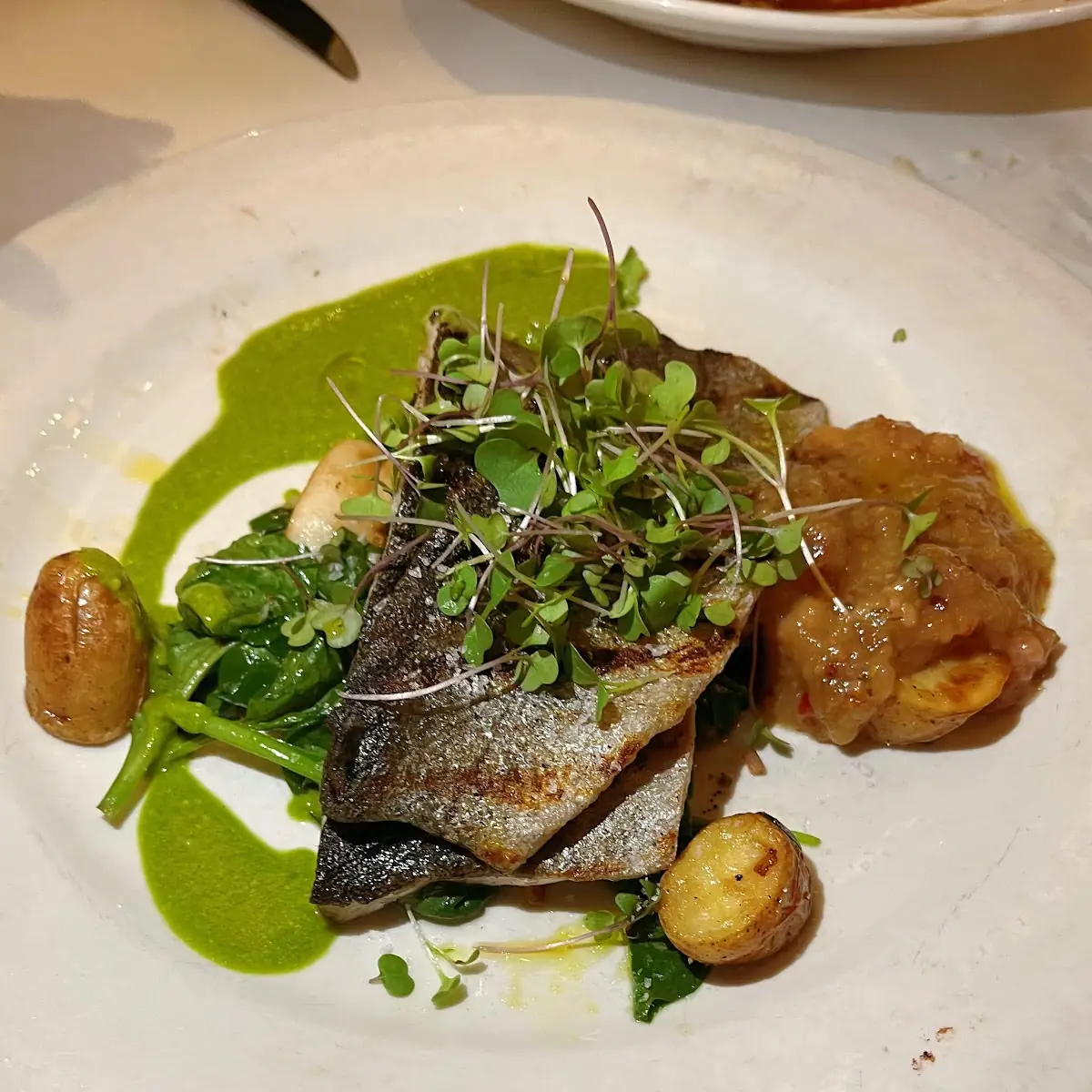 Sea Bass