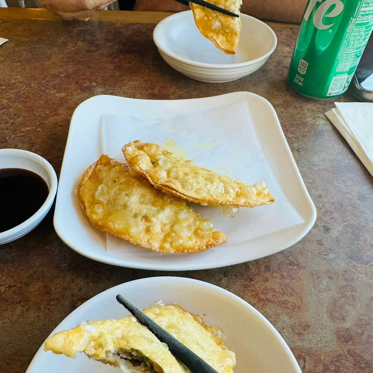 Fried Dumpling