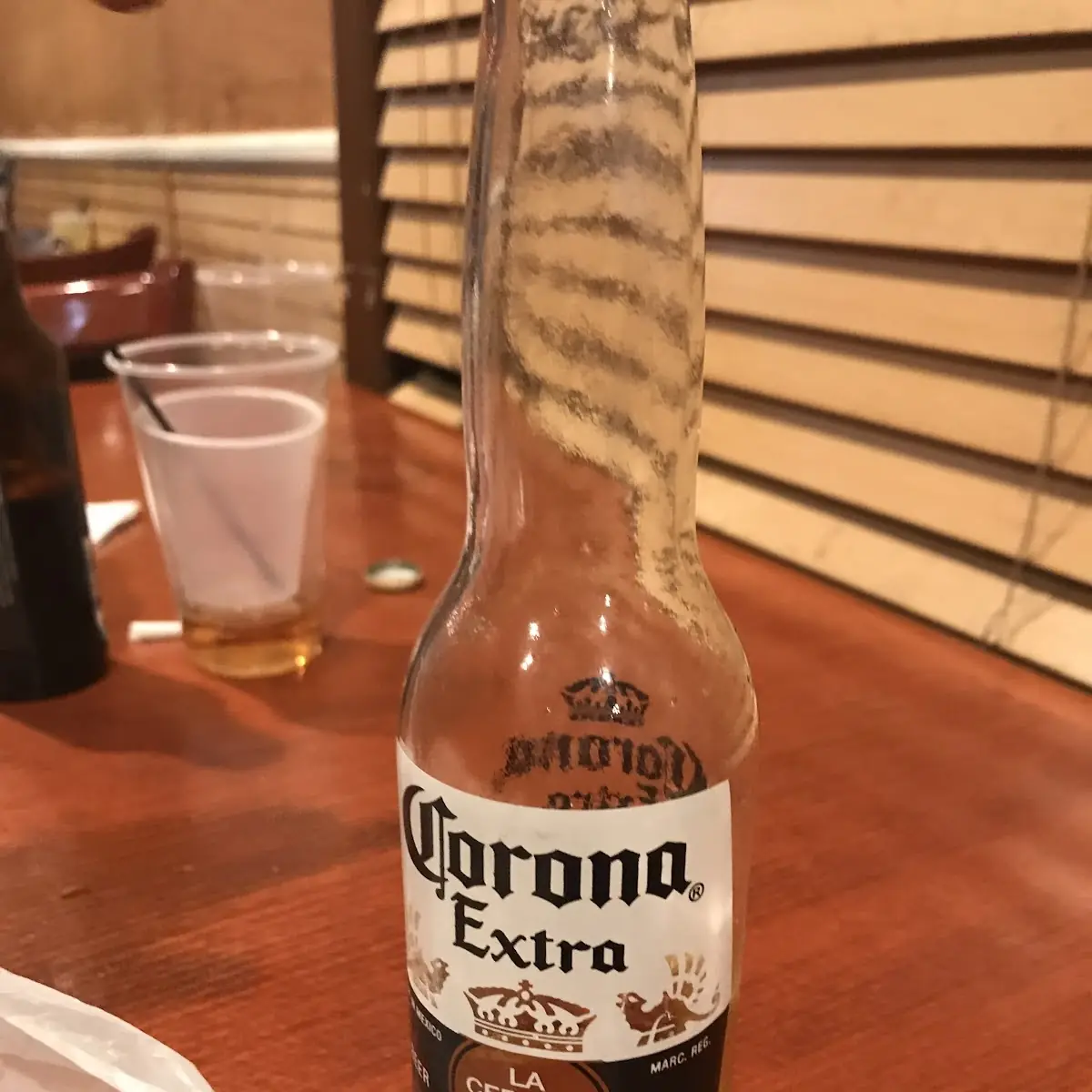Corona Extra