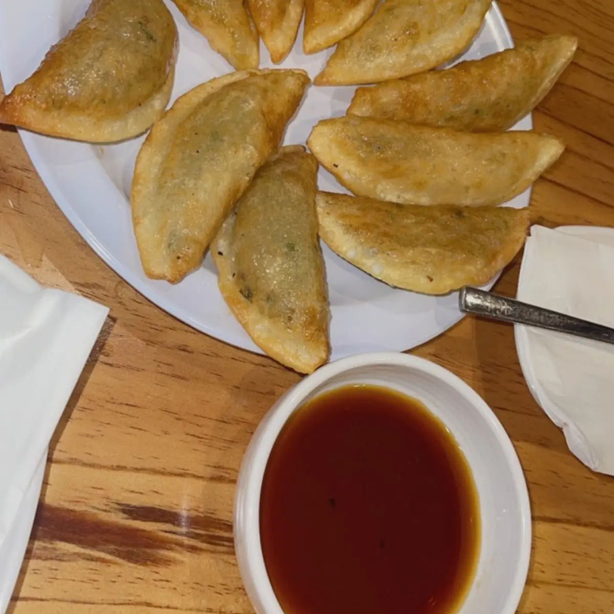 Fried Dumpling