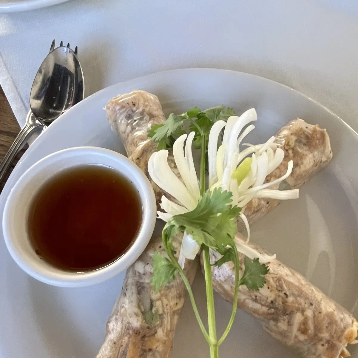 Summer Rolls with Tofu