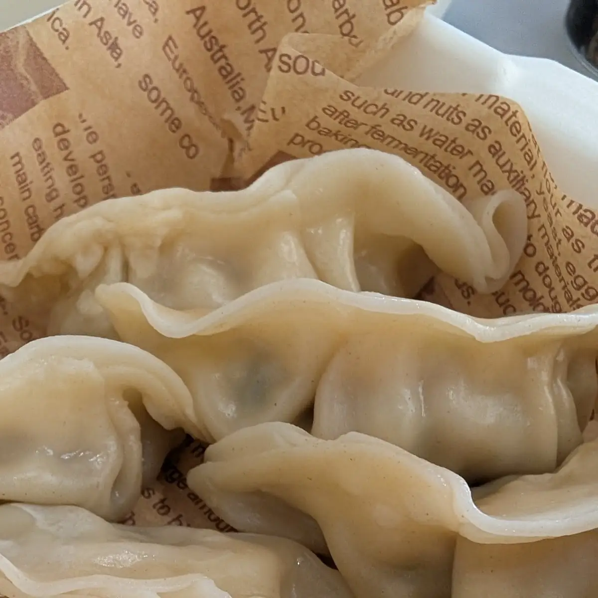 Steam Pork Gyoza 6
