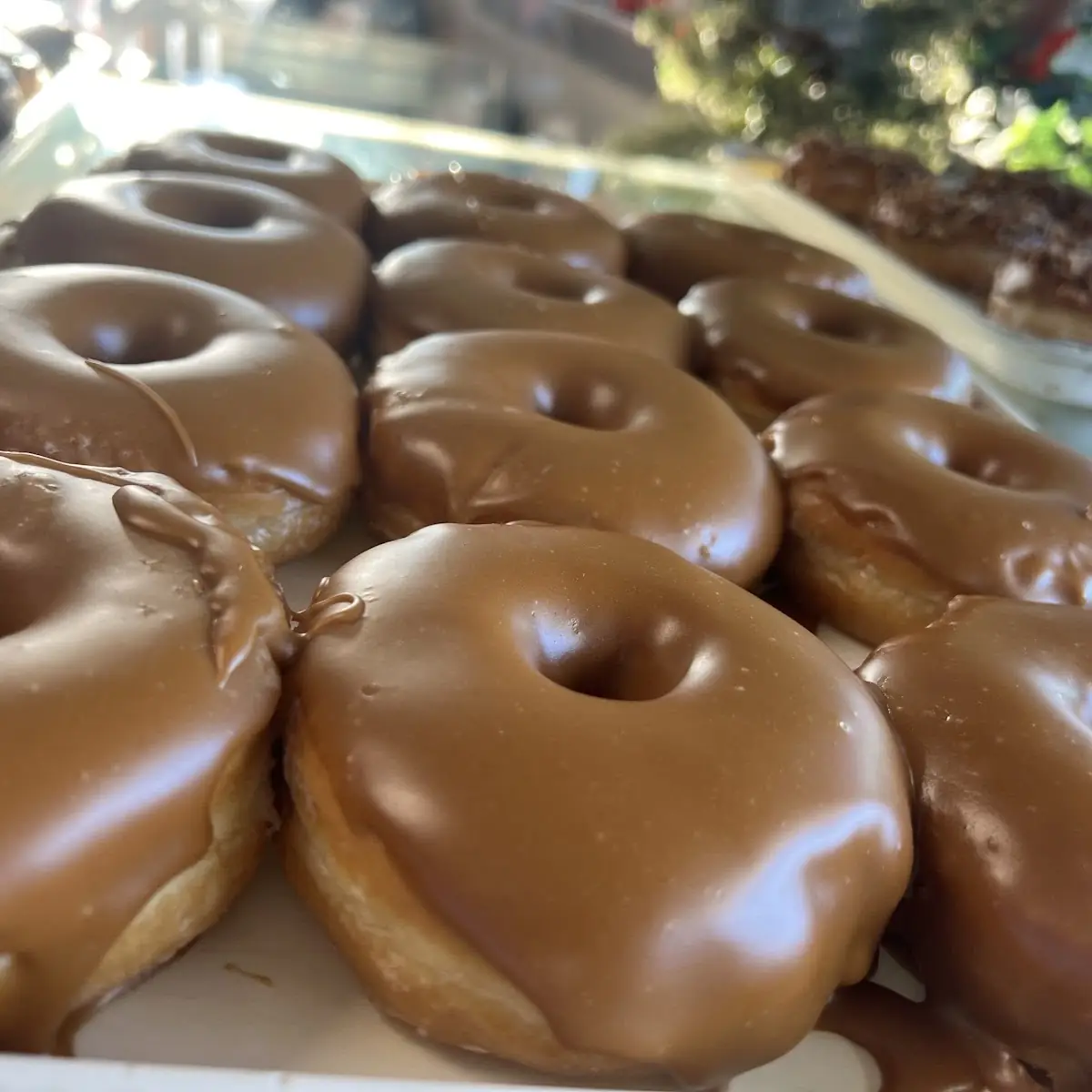 Half Dozen Donuts Assorted We Pick