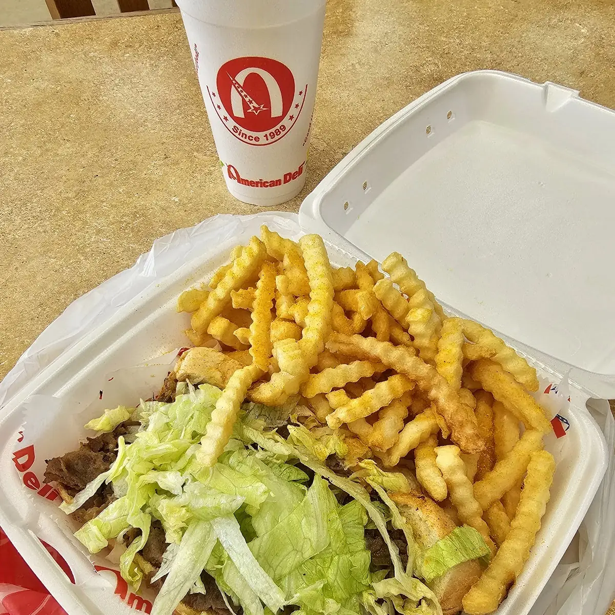 Cheese Steak Philly Sub and Fries