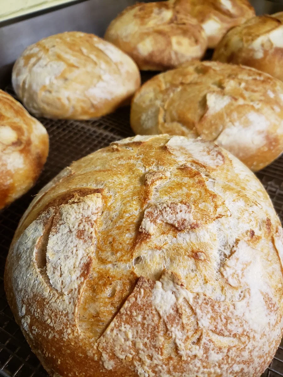 Sourdough Bread
